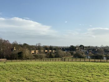 Scenic view of field against sky