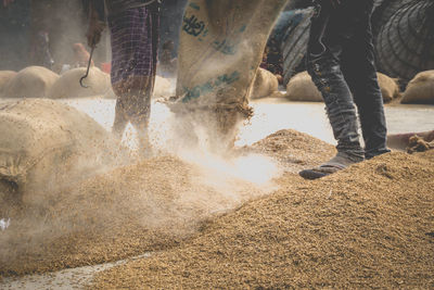 Low section of people standing on land