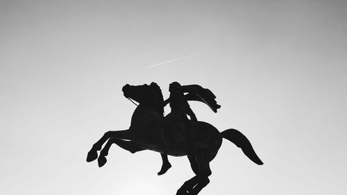 Low angle view of people