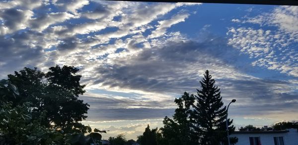 Low angle view of silhouette trees against sky