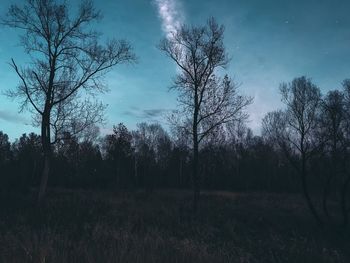 Bare trees on field against sky