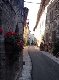 Narrow alley in city