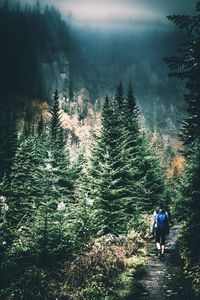 Rear view of people walking on snow covered mountain