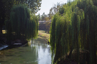 Scenic view of river against sky