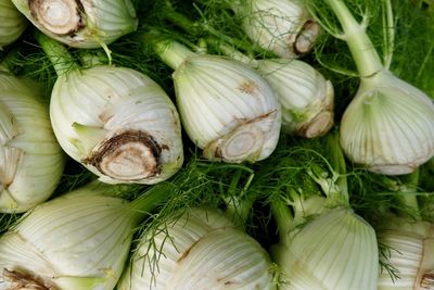 Close-up of vegetables