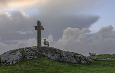 Cross  and sheep on rock against sky