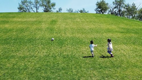 People on grassy field