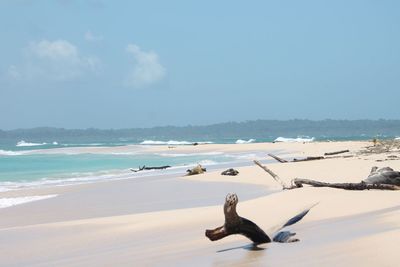 Scenic view of beach against sky