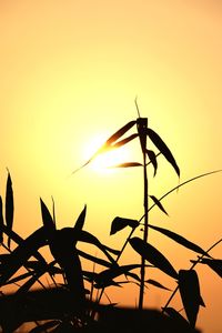 Close-up of silhouette plants against orange sky