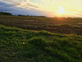 Scenic view of field against sky during sunset