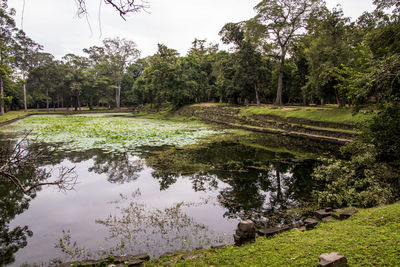 Scenic view of lake against trees