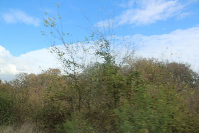 Scenic view of green landscape against sky