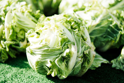 Close-up of fresh cabbages at market stall