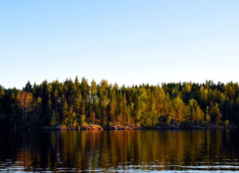 Scenic view of lake in forest against clear sky