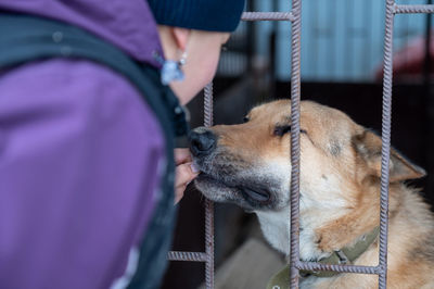 Girl volunteer in the nursery for dogs. shelter for stray dogs.