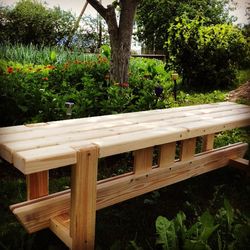 Wooden fence in backyard