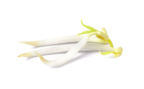 Close-up of pumpkin against white background