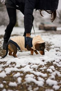 Low section of person with puppy walking on snow