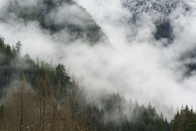Low clouds and fog rolling through the cascade mountains