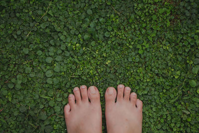 Low section of woman standing over grassy field