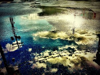 Reflection of trees in puddle