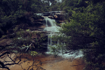 Scenic view of waterfall in forest