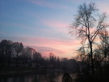 Bare trees on landscape against sky during sunset