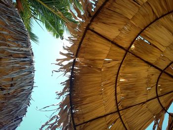 Low angle view of tree against sky