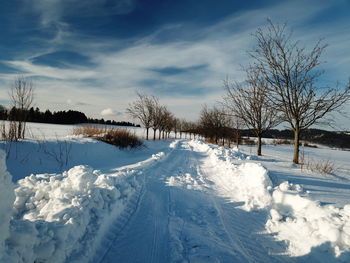 Bare trees on snow covered field against sky