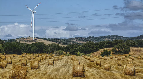 Panoramic view of agricultural field against sky