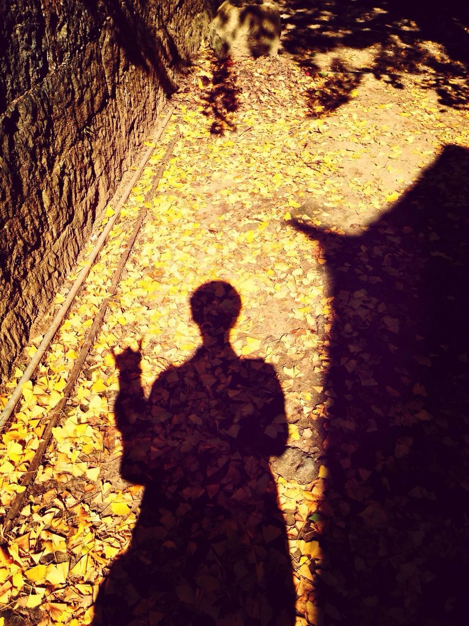 shadow, focus on shadow, high angle view, sunlight, silhouette, street, unrecognizable person, outdoors, outline, day, ground, road, standing, footpath, sidewalk, asphalt, men