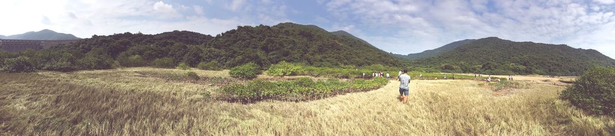 Scenic view of landscape against sky