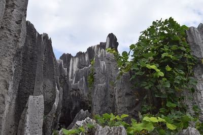 Scenic view of cliff against sky