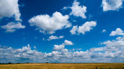 Scenic view of field against blue sky