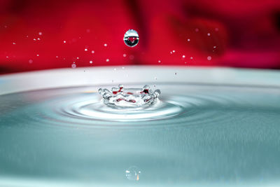 Close-up of splashing water