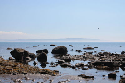 Scenic view of sea against clear sky