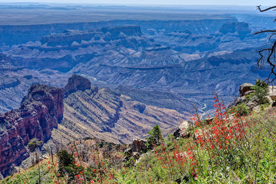 High angle view of landscape