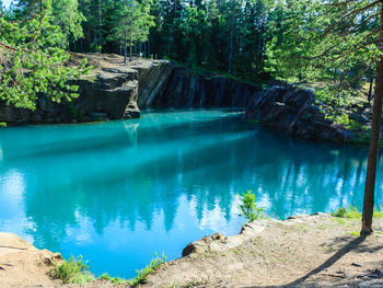 Scenic view of lake in forest