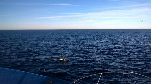 Scenic view of sea against sky