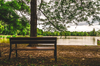 Bench in park by lake