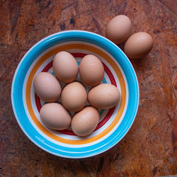 High angle view of eggs in container