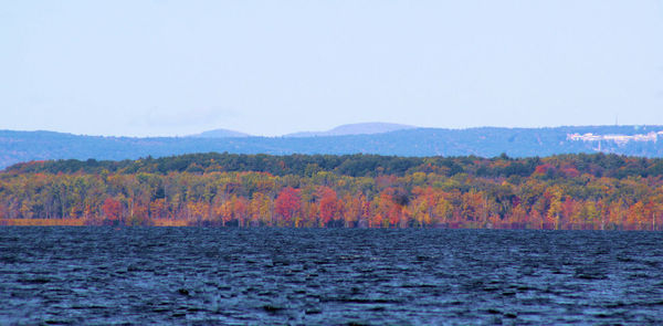 Scenic view of lake against clear sky during autumn