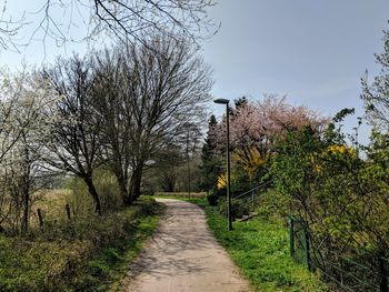 Footpath amidst trees on field against sky