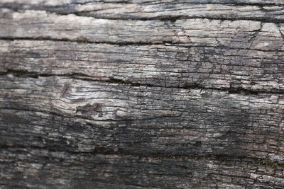 Full frame shot of weathered wood