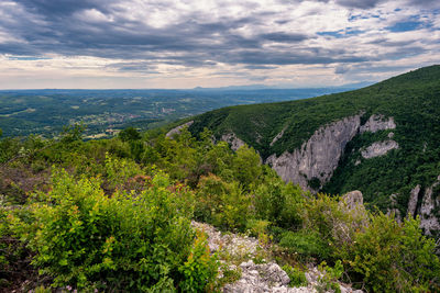 High angle view of green landscape against sky