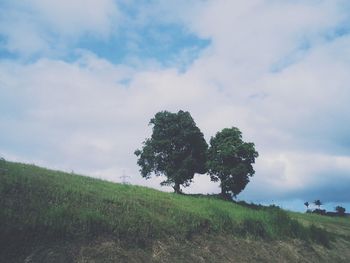 sky