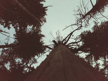 Low angle view of bare trees against clear sky