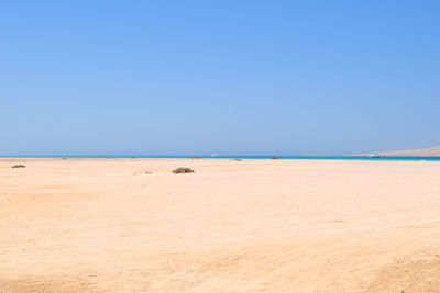 Scenic view of beach against clear blue sky