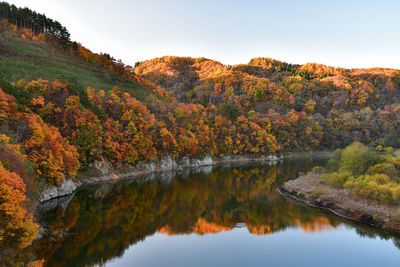 Reflection of trees in lake during sunset