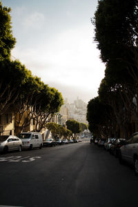 Road passing through trees